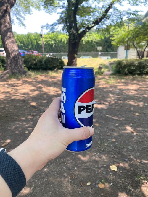 久しぶりの上大島の木陰でデュオキャン! 上大島キャンプ場 ソロキャンプ グループキャンプ フリーサイト ma9さんのキャンプブログ CAMPiii(キャンピー) -キャンプ専用SNS キャンプのすべてがここに集まる-