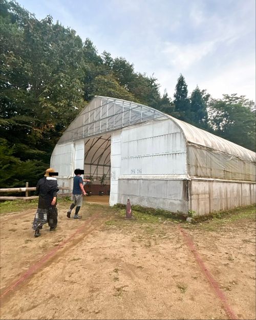SW第一夜｢マサチカ会｣今宵、鬼沼に集え選ばれしキャンパーたち 江湖村キャンプ場 グループキャンプ Oniyomeさんのキャンプブログ CAMPiii（キャンピー） -キャンプ専用SNS キャンプのすべてがここに集まる-