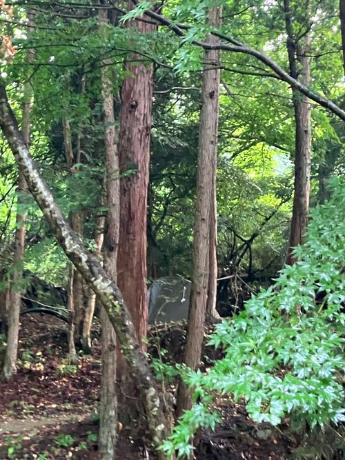 完ソロデュオキャンプ🏕 ラビットオートキャンプ場 ソロキャンプ グループキャンプ 区画サイト Genさんのキャンプブログ CAMPiii(キャンピー) -キャンプ専用SNS キャンプのすべてがここに集まる-