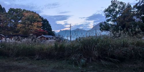 TAWAキャンプ場 そに木霊リゾート～垰tawa～ ソロキャンプ 区画サイト まさやんさんのキャンプブログ CAMPiii（キャンピー） -キャンプ専用SNS キャンプのすべてがここに集まる-