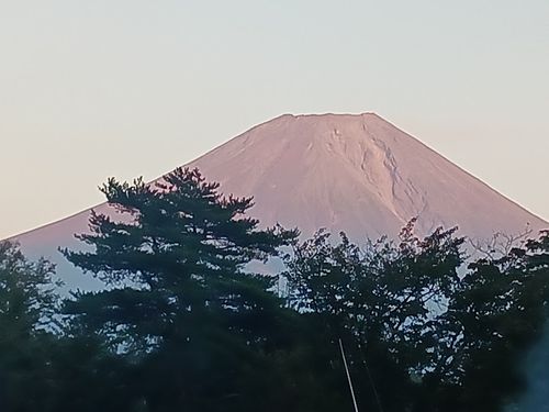 富士山まる出しの秋キャンプ 朝霧Camp Base そらいろキャンプ場（フリーサイト・区画サイト・電源区画サイト） ファミリーキャンプ 区画サイト キャンピングカー vios outdoor'sさんのキャンプブログ CAMPiii（キャンピー） -キャンプ専用SNS キャンプのすべてがここに集まる-