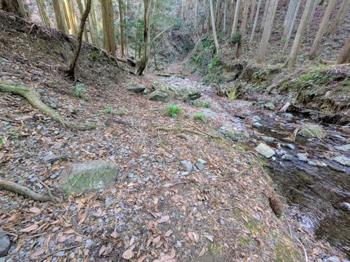 初幕。フォーエバー&hellip; 大阪府 ソロキャンプ フリーサイト ぞのさんさんのキャンプブログ CAMPiii（キャンピー） -キャンプ専用SNS キャンプのすべてがここに集まる-