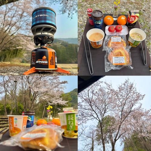 2026花見camping🌸🌸 ファミリーキャンプ フリーサイト tatecampさんのキャンプブログ CAMPiii（キャンピー） -キャンプ専用SNS キャンプのすべてがここに集まる-