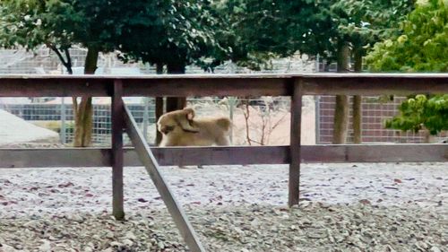 誰にも教えないキャンプ場 ソロキャンプ フリーサイト ちゃむ！さんのキャンプブログ CAMPiii（キャンピー） -キャンプ専用SNS キャンプのすべてがここに集まる-