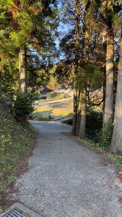 久々のソロキャン~🏕さいこぉぉぉひゃっほっい！ 吉野山キャンプ場 ソロキャンプ 区画サイト オートサイト はるかさんのキャンプブログ CAMPiii（キャンピー） -キャンプ専用SNS キャンプのすべてがここに集まる-