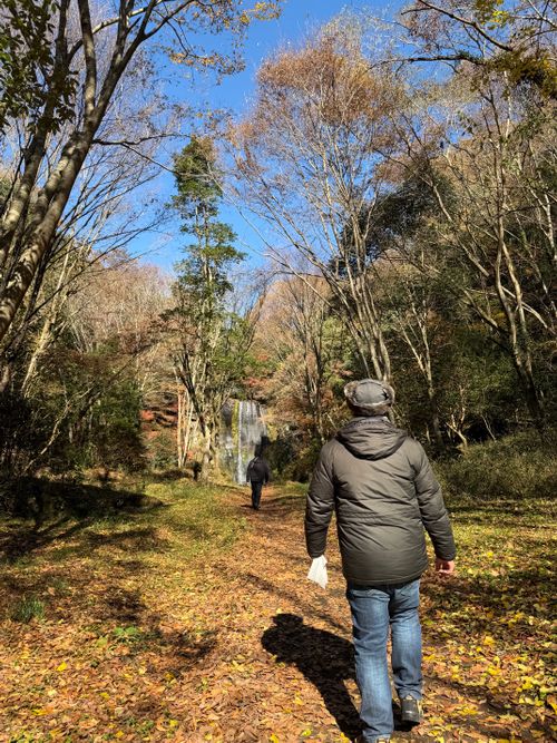 九州伊勢えびキャンプ@阿蘇レインボーバレーたる由縁🌈 阿蘇レインボーバレー グループキャンプ オートサイト ぐうたら夫婦さんのキャンプブログ CAMPiii（キャンピー） -キャンプ専用SNS キャンプのすべてがここに集まる-