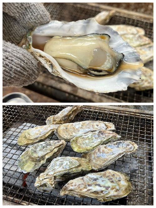 さあ、福岡を楽しむよ〜！！！ uminomori ソロキャンプ オートサイト けんじさんのキャンプブログ CAMPiii（キャンピー） -キャンプ専用SNS キャンプのすべてがここに集まる-