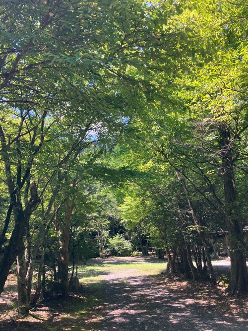 完ソロデュオキャンプ🏕 ラビットオートキャンプ場 ソロキャンプ グループキャンプ 区画サイト Genさんのキャンプブログ CAMPiii(キャンピー) -キャンプ専用SNS キャンプのすべてがここに集まる-