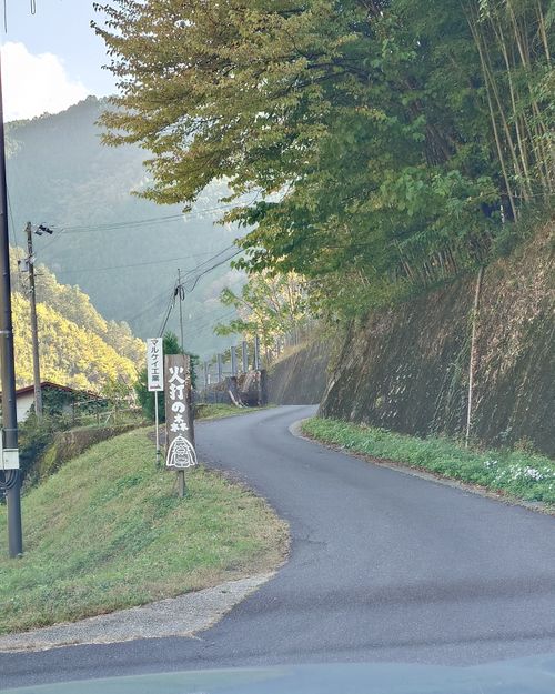 結果、ネコキャンプでした｜火打の森キャンプ場 火打の森キャンプ場 ソロキャンプ 区画サイト hare75さんのキャンプブログ CAMPiii（キャンピー） -キャンプ専用SNS キャンプのすべてがここに集まる-