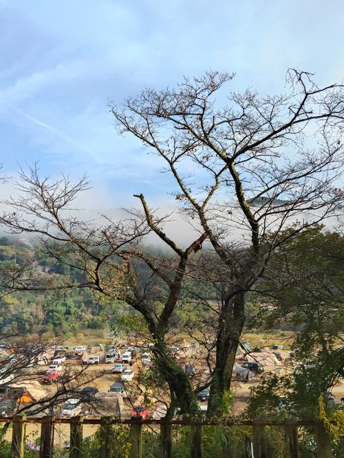 ちょっとハイク 笠置キャンプ場 ソロキャンプ フリーサイト おっとまんSさんのキャンプブログ CAMPiii（キャンピー） -キャンプ専用SNS キャンプのすべてがここに集まる-