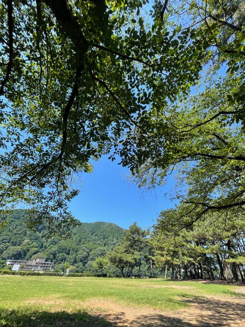 久しぶりの上大島の木陰でデュオキャン! 上大島キャンプ場 ソロキャンプ グループキャンプ フリーサイト ma9さんのキャンプブログ CAMPiii(キャンピー) -キャンプ専用SNS キャンプのすべてがここに集まる-