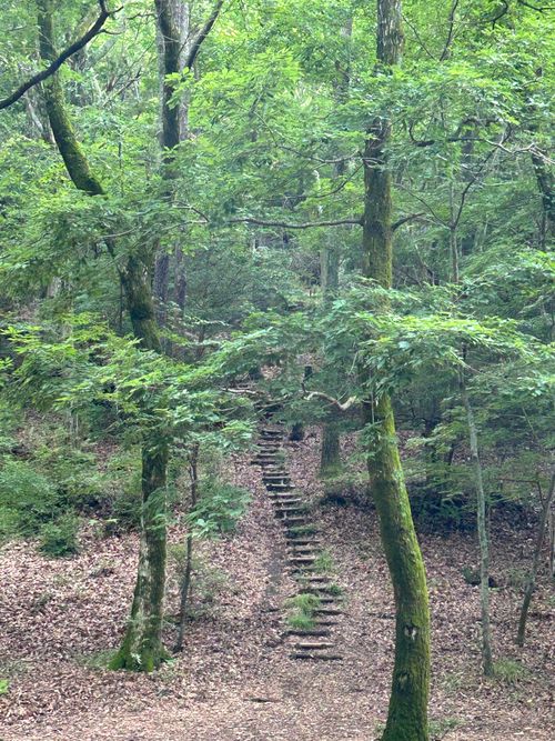 campbean 何故だかpart1 CAMP BEAN ソロキャンプ 区画サイト Genさんのキャンプブログ CAMPiii（キャンピー） -キャンプ専用SNS キャンプのすべてがここに集まる-