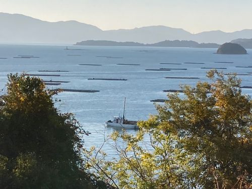 ずっと行きたかったキャンプ場✨ 瀬戸内海の森キャンプ場 ファミリーキャンプ 区画サイト masaさんのキャンプブログ CAMPiii（キャンピー） -キャンプ専用SNS キャンプのすべてがここに集まる-