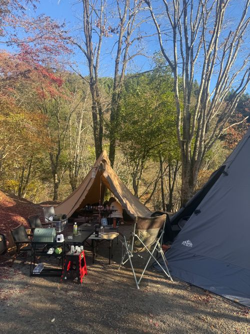 いい夫婦の日に2組でキャンプ 阿蘇レインボーバレー ファミリーキャンプ グループキャンプ 区画サイト オートサイト moreAiさんのキャンプブログ CAMPiii（キャンピー） -キャンプ専用SNS キャンプのすべてがここに集まる-