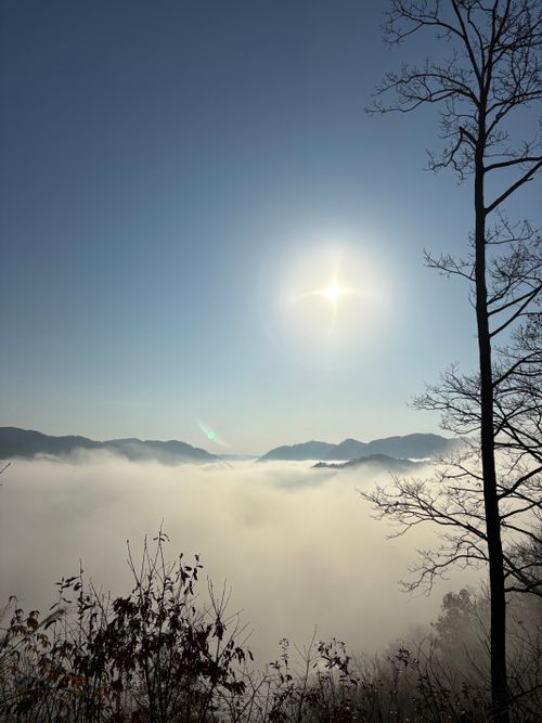 年内最後 西山高原キャンプ場 ファミリーキャンプ 区画サイト まるとらさんのキャンプブログ CAMPiii（キャンピー） -キャンプ専用SNS キャンプのすべてがここに集まる-