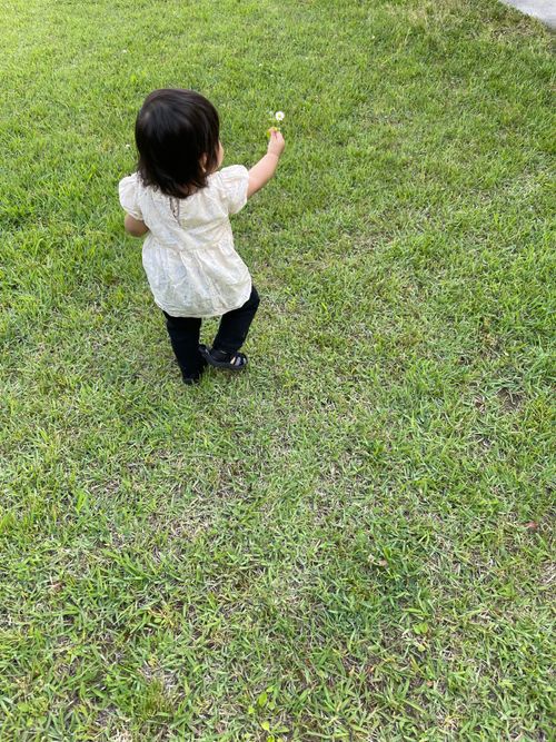 いつもホタテを送ってもらい、ありがとうございます ファミリーキャンプ 区画サイト ロコCamp0828さんのキャンプブログ CAMPiii（キャンピー） -キャンプ専用SNS キャンプのすべてがここに集まる-