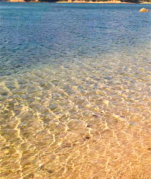 無人島にカヤックで渡ってみたキャンプ🏕 ホシアカリ 波うち 区画サイト NATSUさんのキャンプブログ CAMPiii（キャンピー） -キャンプ専用SNS キャンプのすべてがここに集まる-