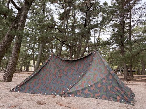 少し広めの汚宿へ引っ越ししました🇳🇴 大神子海岸 ソロキャンプ フリーサイト camping roll♪さんのキャンプブログ CAMPiii（キャンピー） -キャンプ専用SNS キャンプのすべてがここに集まる-