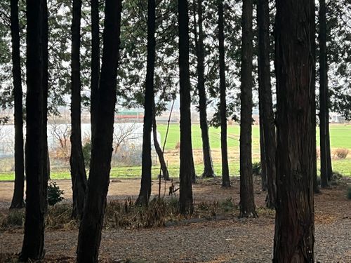 ワラサンキャンプサイト ワラサンキャンプサイト ソロキャンプ 区画サイト Maaaaaa!さんのキャンプブログ CAMPiii（キャンピー） -キャンプ専用SNS キャンプのすべてがここに集まる-