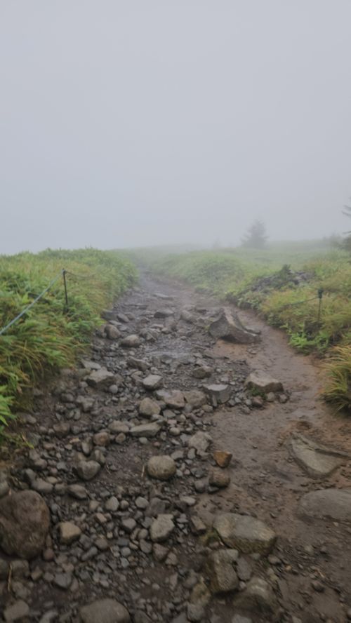 霧ヶ峰~金峰山~上高地 長野県 ソロキャンプ グループキャンプ 区画サイト オートサイト フリーサイト IZUIZUさんのキャンプブログ CAMPiii(キャンピー) -キャンプ専用SNS キャンプのすべてがここに集まる-