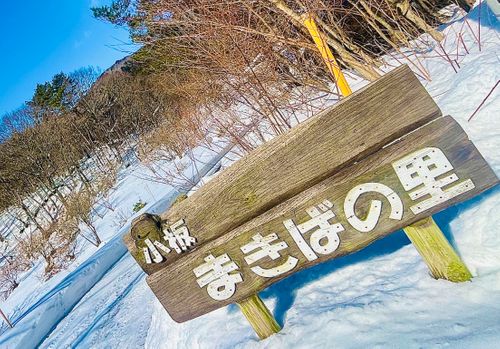 これはデジャヴ？雪中おじおばうさキャン△リターンズ in 小板まきばの里キャンプ場 〜 CAMP NO.174 小板まきばの里キャンプ場 ファミリーキャンプ グループキャンプ 区画サイト おじキャン△さんのキャンプブログ CAMPiii（キャンピー） -キャンプ専用SNS キャンプのすべてがここに集まる-