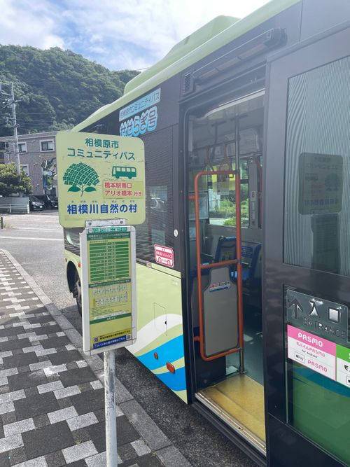 久しぶりの上大島の木陰でデュオキャン! 上大島キャンプ場 ソロキャンプ グループキャンプ フリーサイト ma9さんのキャンプブログ CAMPiii(キャンピー) -キャンプ専用SNS キャンプのすべてがここに集まる-