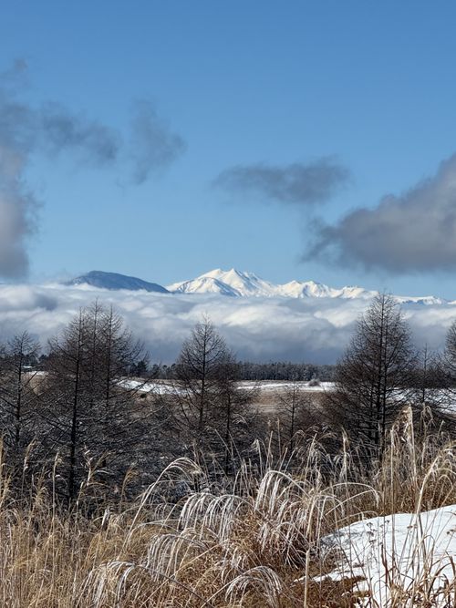 冬キャンプ始まる。 CAMP SKY FIELD-車山オートキャンプ場 ソロキャンプ 区画サイト シルバーズさんのキャンプブログ CAMPiii（キャンピー） -キャンプ専用SNS キャンプのすべてがここに集まる-