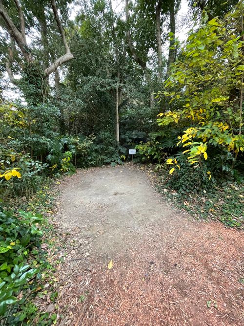 千葉の東浪見にあるTORAMIキャンプ場でデュオキャンプ！ Campsite TORAMI(一宮町東浪見,「旧秋場家住宅」) ソロキャンプ グループキャンプ フリーサイト 区画サイト ma9さんのキャンプブログ CAMPiii（キャンピー） -キャンプ専用SNS キャンプのすべてがここに集まる-