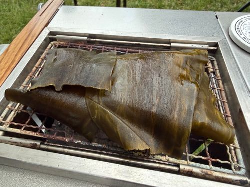 2026GW遠征キャンプ@山口 痛風編 伊上海浜公園オートキャンプ場 ファミリーキャンプ オートサイト ぐうたら夫婦さんのキャンプブログ CAMPiii（キャンピー） -キャンプ専用SNS キャンプのすべてがここに集まる-