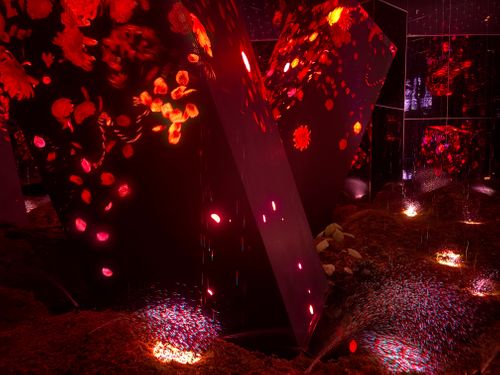 京の紅葉🍁 京都府 ファミリーキャンプ フリーサイト camping roll♪さんのキャンプブログ CAMPiii（キャンピー） -キャンプ専用SNS キャンプのすべてがここに集まる-