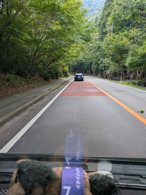 1年ぶりの本栖湖 本栖湖いこいの森キャンプ場 グループキャンプ 区画サイト オートサイト IZUIZUさんのキャンプブログ CAMPiii（キャンピー） -キャンプ専用SNS キャンプのすべてがここに集まる-