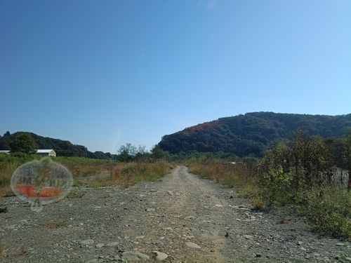 スポーツの日(アウトドア) 角田大橋河川敷 ソロキャンプ フリーサイト ウエィダーさんのキャンプブログ CAMPiii（キャンピー） -キャンプ専用SNS キャンプのすべてがここに集まる-