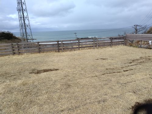 2026年初キャンプ　春ですがまだまだ寒かった The earth with dogs ファミリーキャンプ 区画サイト オートサイト セツさんのキャンプブログ CAMPiii（キャンピー） -キャンプ専用SNS キャンプのすべてがここに集まる-