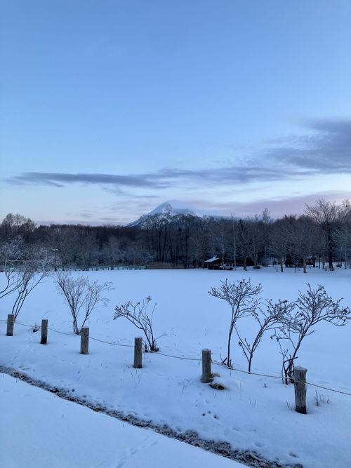 2026初キャンプはファンガーデンリモ！ Fun Garden Rimo ソロキャンプ フリーサイト siroさんのキャンプブログ CAMPiii（キャンピー） -キャンプ専用SNS キャンプのすべてがここに集まる-