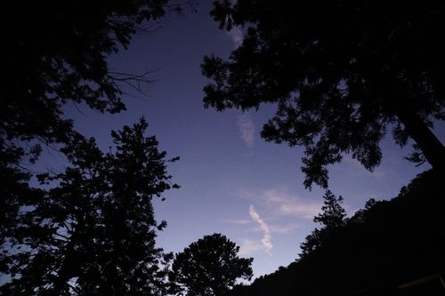 近場開拓ソロキャンツー 秋山川キャンプ場 ソロキャンプ 区画サイト 週末スナフキンさんのキャンプブログ CAMPiii（キャンピー） -キャンプ専用SNS キャンプのすべてがここに集まる-