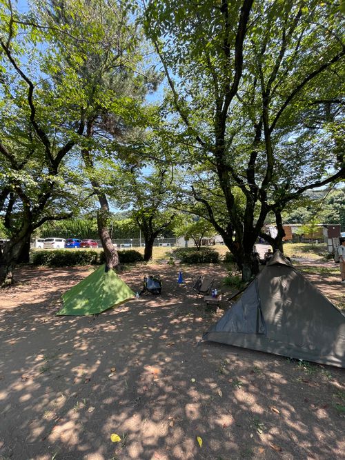 CAMPiii（キャンピー） ma9さんのキャンプブログ 久しぶりの上大島の木陰でデュオキャン！ 上大島キャンプ場
