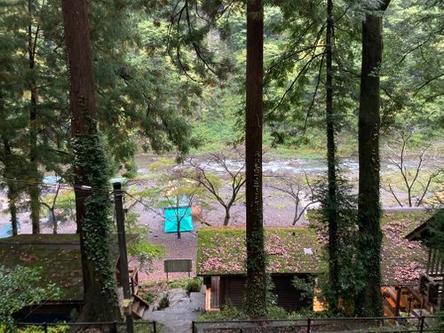 No.36 氷川キャンプ場 グループキャンプ 区画サイト mememeさんのキャンプブログ CAMPiii(キャンピー) -キャンプ専用SNS キャンプのすべてがここに集まる-