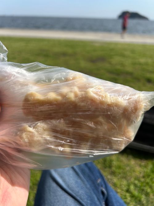 連休取れずに朝からデイキャン うみかぜ公園 ソロキャンプ フリーサイト Genさんのキャンプブログ CAMPiii（キャンピー） -キャンプ専用SNS キャンプのすべてがここに集まる-