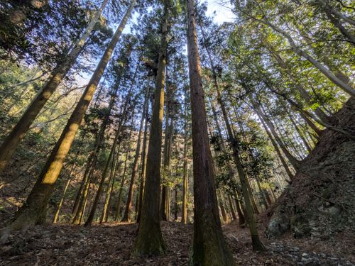 今年初のお泊まりキャンプ 亀岡市 ソロキャンプ フリーサイト ぞのさんさんのキャンプブログ CAMPiii（キャンピー） -キャンプ専用SNS キャンプのすべてがここに集まる-