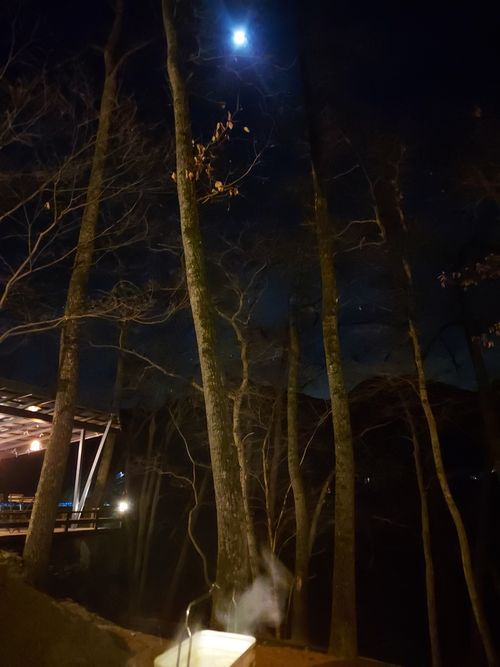 明けましておめでとうございます🎍年越しで狼さんに会いに行ったけどちとヘコんだキャンプ⛺ フォレストサンズ長瀞 ソロキャンプ 区画サイト ひろ16さんのキャンプブログ CAMPiii（キャンピー） -キャンプ専用SNS キャンプのすべてがここに集まる-