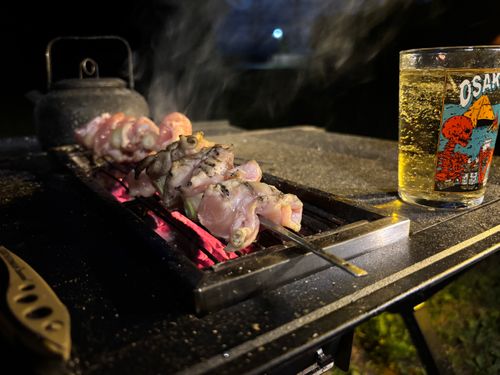 ４月キャンプ⛺️ 智光山公園 キャンプ場 ソロキャンプ フリーサイト boorishcamperさんのキャンプブログ CAMPiii（キャンピー） -キャンプ専用SNS キャンプのすべてがここに集まる-