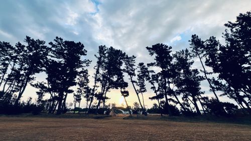 聖地 渚園 キャンプ場 ソロキャンプ 区画サイト KABUTOさんのキャンプブログ CAMPiii（キャンピー） -キャンプ専用SNS キャンプのすべてがここに集まる-