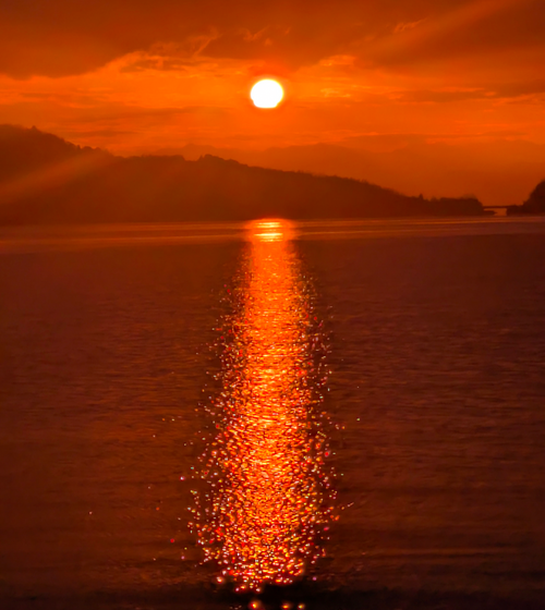 2025年締めキャンプ。ヤギと猫と魚と人生最高峰への決意。 ホシアカリ 波うち グループキャンプ 区画サイト NATSUさんのキャンプブログ CAMPiii（キャンピー） -キャンプ専用SNS キャンプのすべてがここに集まる-