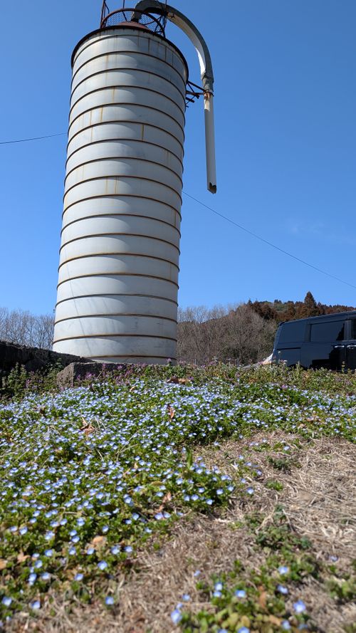 CAMPiii（キャンピー） ヒゲキャンさんのキャンプブログ おっさんずグル＠玖珠の杜🏕️バニーちゃんもいるよ👯👯 キャンプ&農園 玖珠の杜