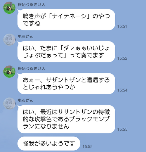 キャンプ行けない時の励みになったので共有 日本 IZUIZUさんのキャンプブログ CAMPiii（キャンピー） -キャンプ専用SNS キャンプのすべてがここに集まる-