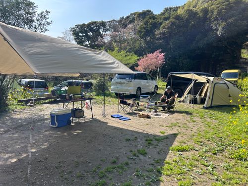 春うらら。千葉にゃんこ王国(^^) 花はなの里 グループキャンプ 区画サイト KOBApapaさんのキャンプブログ CAMPiii（キャンピー） -キャンプ専用SNS キャンプのすべてがここに集まる-