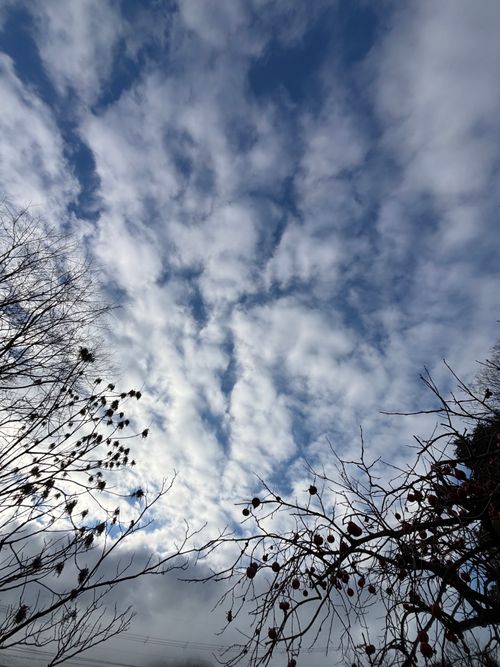 今年もお世話になりました！来年もたくさん遊んでくれぶーん！！ KAWAI VILLAGE CAMP ソロキャンプ 区画サイト とのさんのキャンプブログ CAMPiii（キャンピー） -キャンプ専用SNS キャンプのすべてがここに集まる-