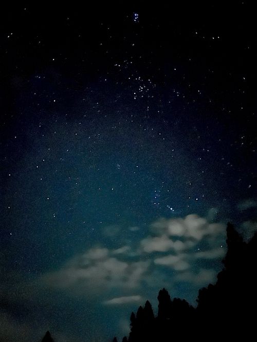 グルキャン 2026 秋　　 星灯りの森キャンプ場 ソロキャンプ グループキャンプ b_c.a.m.p さんのキャンプブログ CAMPiii（キャンピー） -キャンプ専用SNS キャンプのすべてがここに集まる-
