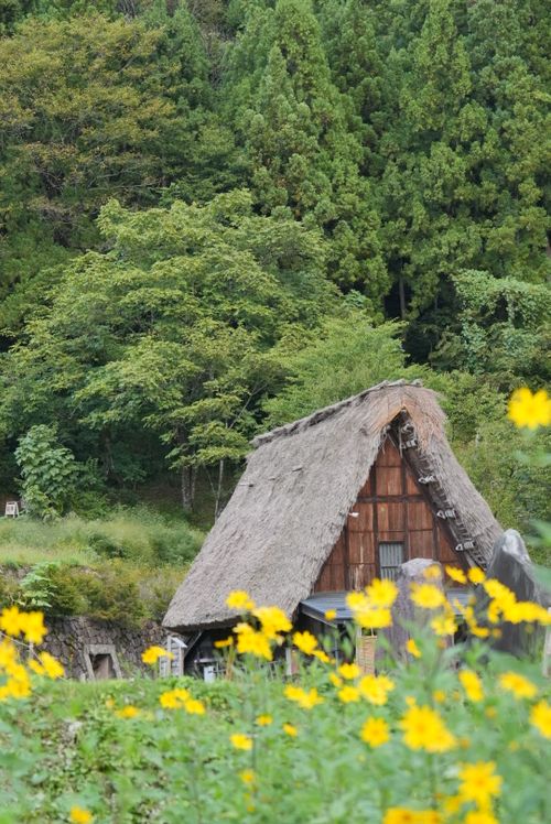 全国旅キャンプ第10弾の富山編 相倉キャンプ場 ソロキャンプ ファミリーキャンプ グループキャンプ 区画サイト ENJOY THE OUTDOORSさんのキャンプブログ CAMPiii（キャンピー） -キャンプ専用SNS キャンプのすべてがここに集まる-