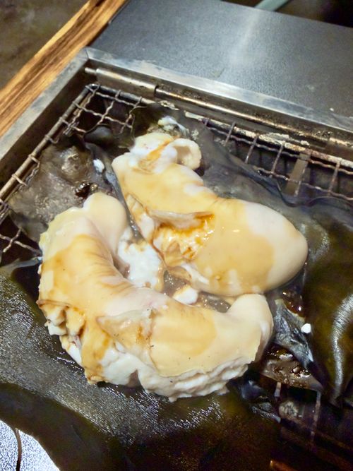 新年雪中デビュー⛄️❄️🌨🏔️@後編 閑乗寺公園 第2キャンプ場 ファミリーキャンプ 区画サイト オートサイト ぐうたら夫婦さんのキャンプブログ CAMPiii（キャンピー） -キャンプ専用SNS キャンプのすべてがここに集まる-